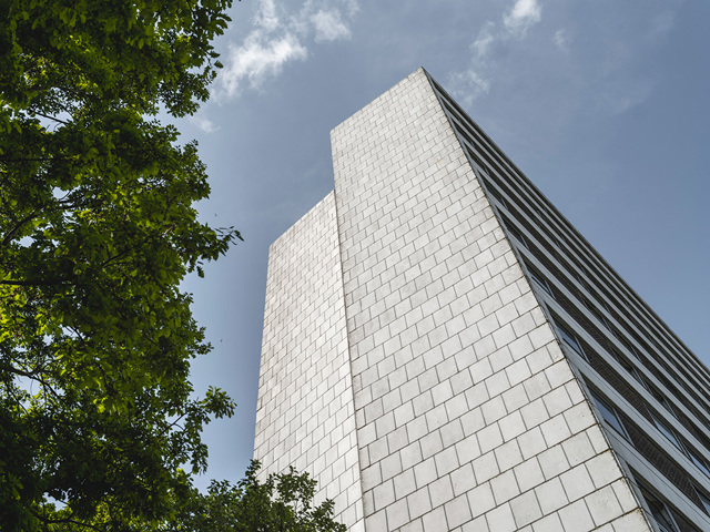 Grå bygninger i frøperspektiv